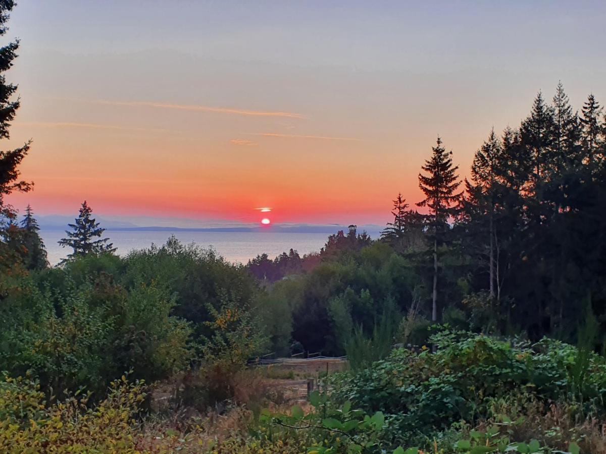 Forest By The Sea Rentals Merville Extérieur photo