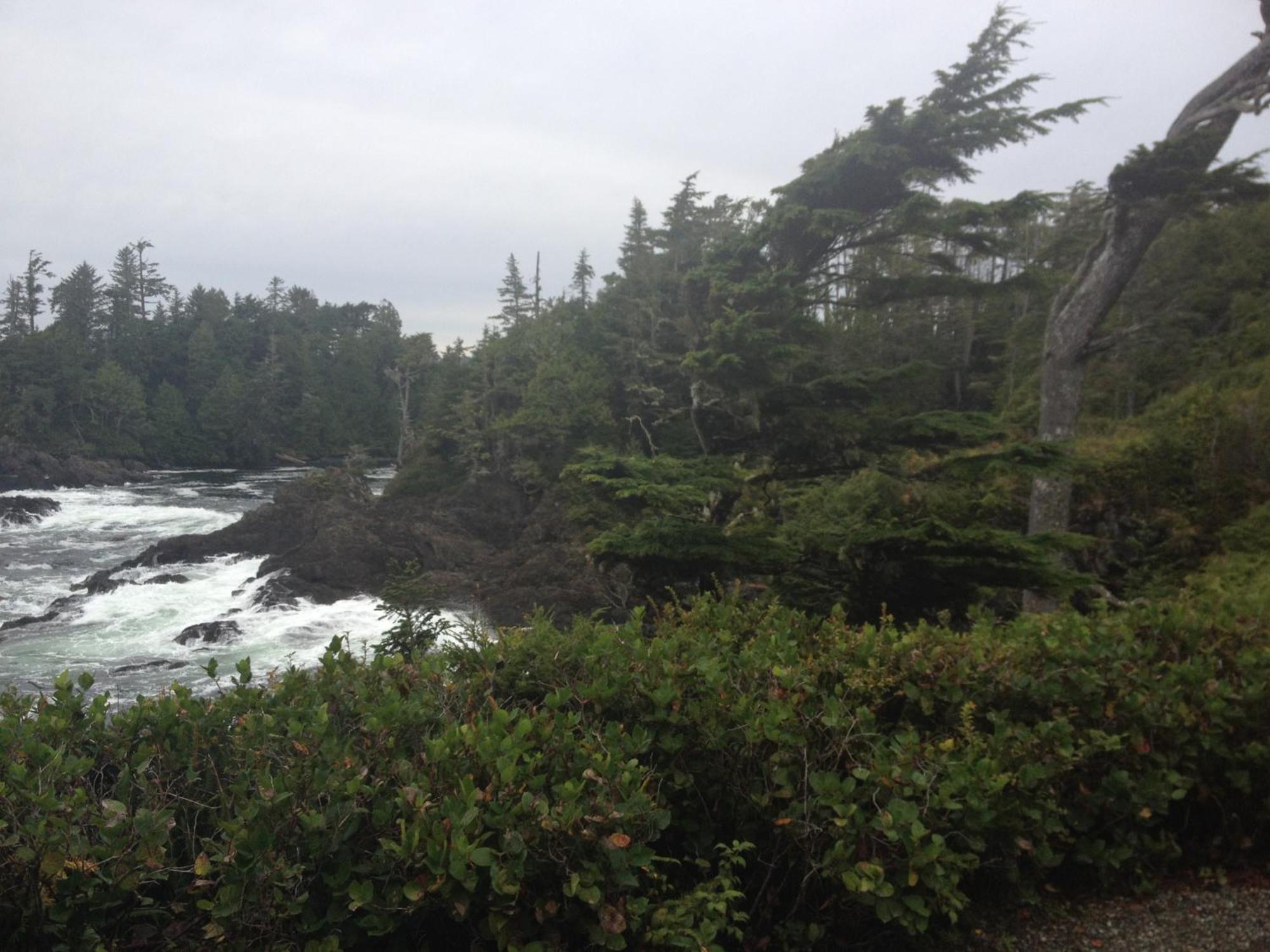 Forest By The Sea Rentals Merville Extérieur photo